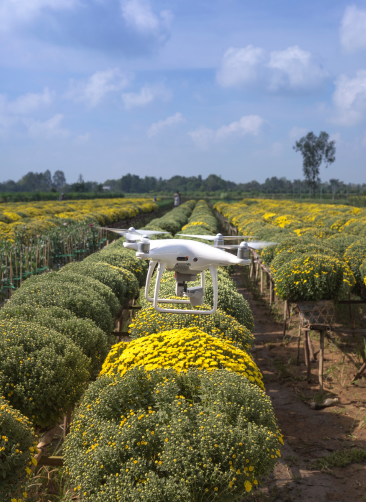 Conteo de Plantas Assemblair servicio drones asturias