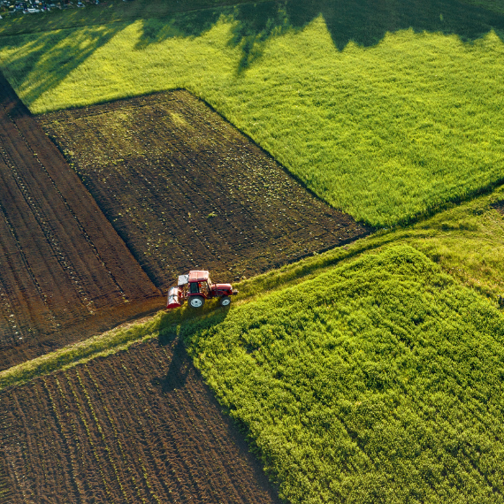 Empoderar agricultores con diagnosticos precisos mediante el uso de drones