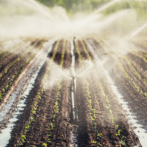 Riego Agrícola con Drones Precisión que Cultiva Éxito