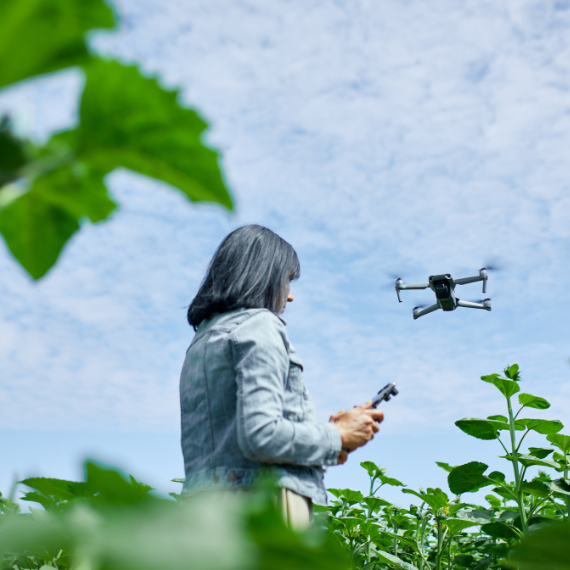 funcionamiento conteo plantas drones assemblair